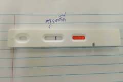 250784601_1600668836936655_7000748644320996407_n_1600668850269987