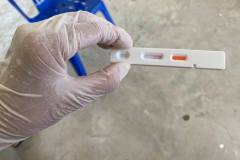 250942405_1600668923603313_5457108408336892573_n_1600668930269979