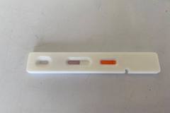 254238114_1600668960269976_4431783498558017118_n_1600668963603309