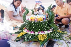 49896828_813755948961285_6248881668526964736_o_813755945627952